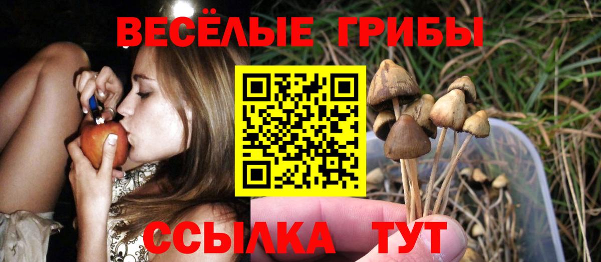 Гусев  Галлюциногенные грибы MAGIC MUSHROOMS  Галлюциногенные грибы MAGIC MUSHROOMS  Вход с VPN 